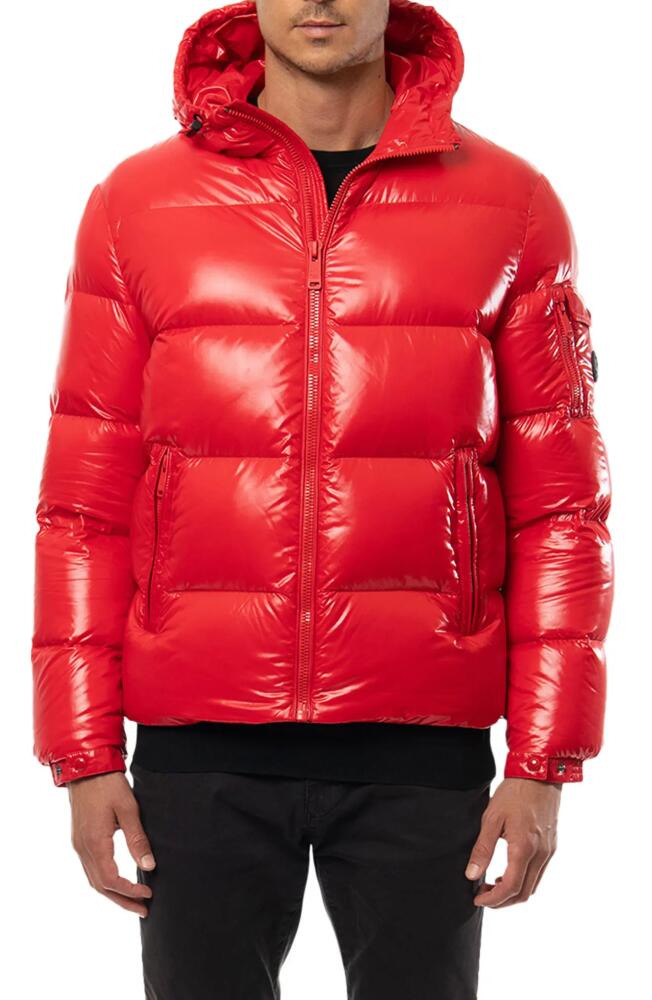 The Recycled Planet Company Reclaimed Down Hooded Jacket in Racing Red Cover