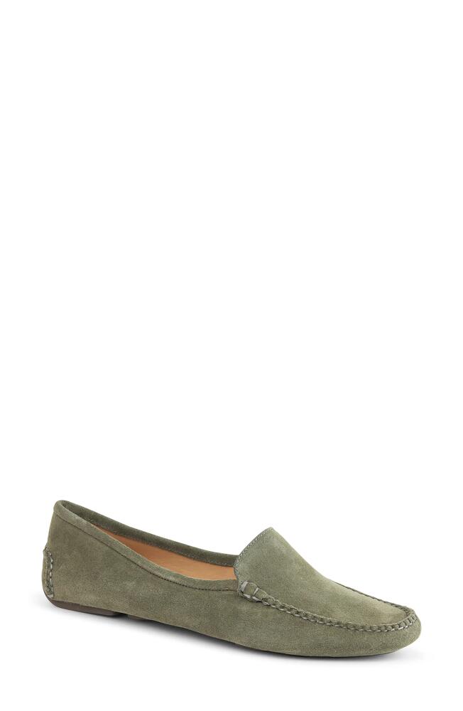 patricia green 'Jillian' Loafer in Olive Suede Cover