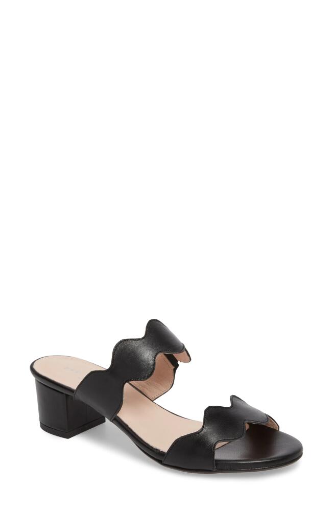 patricia green Palm Beach Slide Sandal in Black Leather Cover