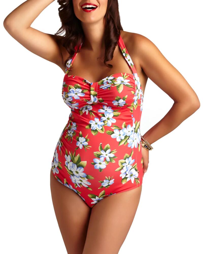 Pez D'Or Maternity Maui Hibiscus-Printed Halter-Neck One-Piece Swimsuit Cover