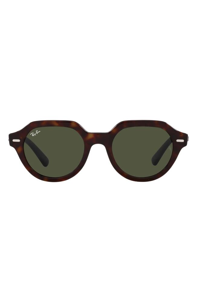 Ray-Ban Gina 53mm Square Sunglasses in Havana Cover