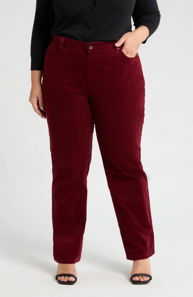 Jones New York Lexington Straight Leg Pants in Bordeaux Cover