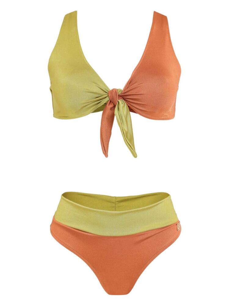 Brigitte Drica bikini - Orange Cover