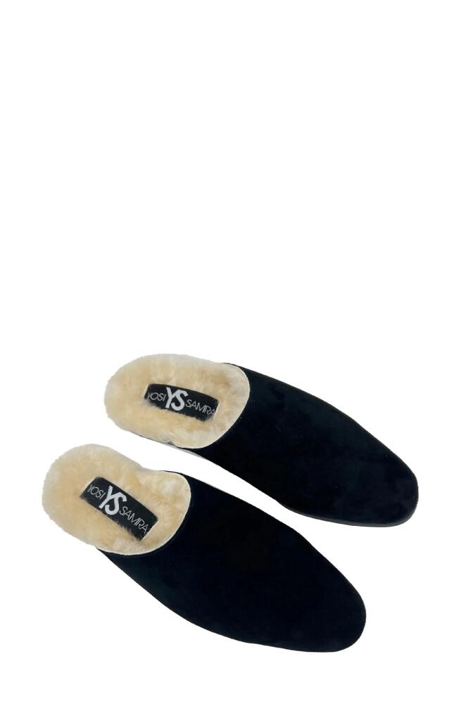 Yosi Samra Zoe Genuine Shearling Lined Mule in Black Cover