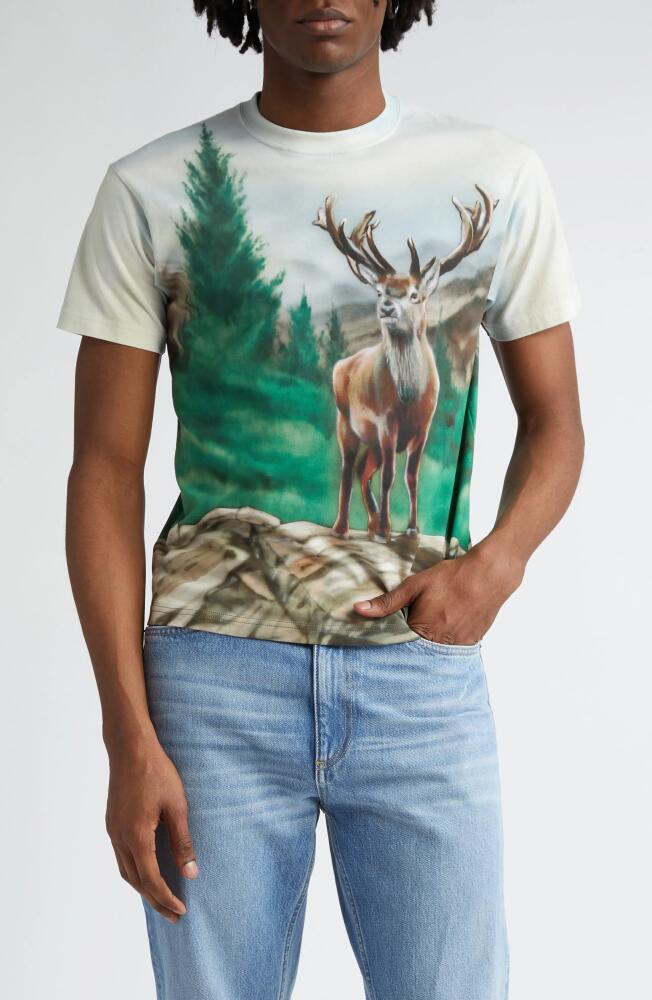 STOCKHOLM SURFBOARD CLUB Teo Airbrush Organic Cotton Graphic T-Shirt in Deer Cover