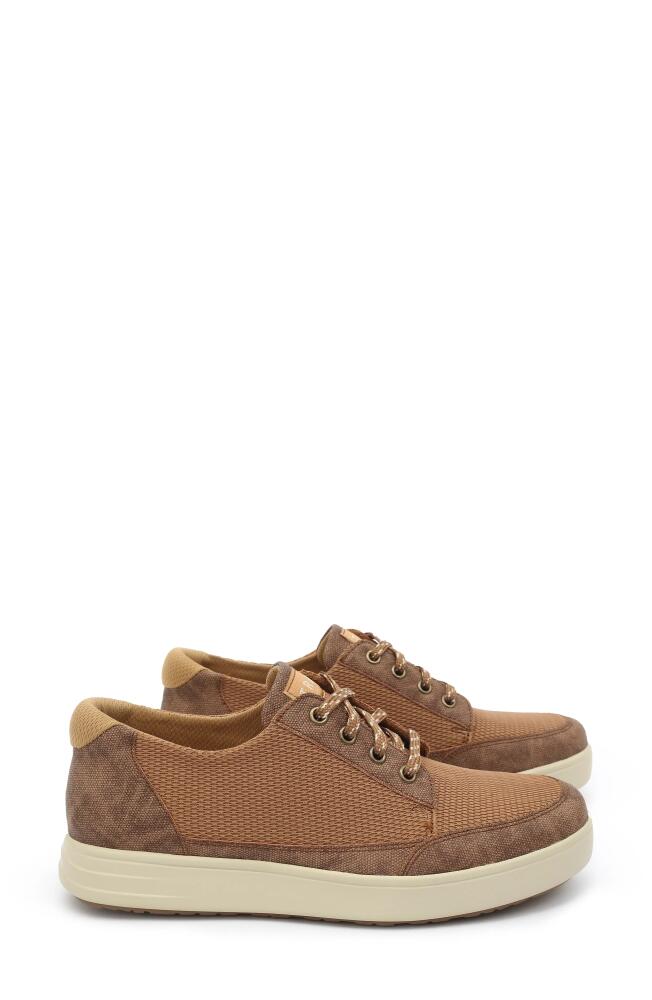 TRAQ by Alegria Copacetiq Lace-Up Sneaker in Tan Fabric Cover