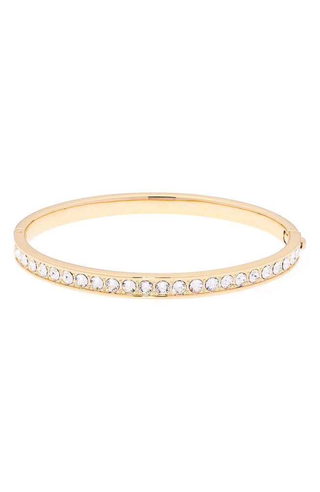 Ted Baker London Clemara Crystal Hinge Bangle Bracelet in Crystal/Gold Cover