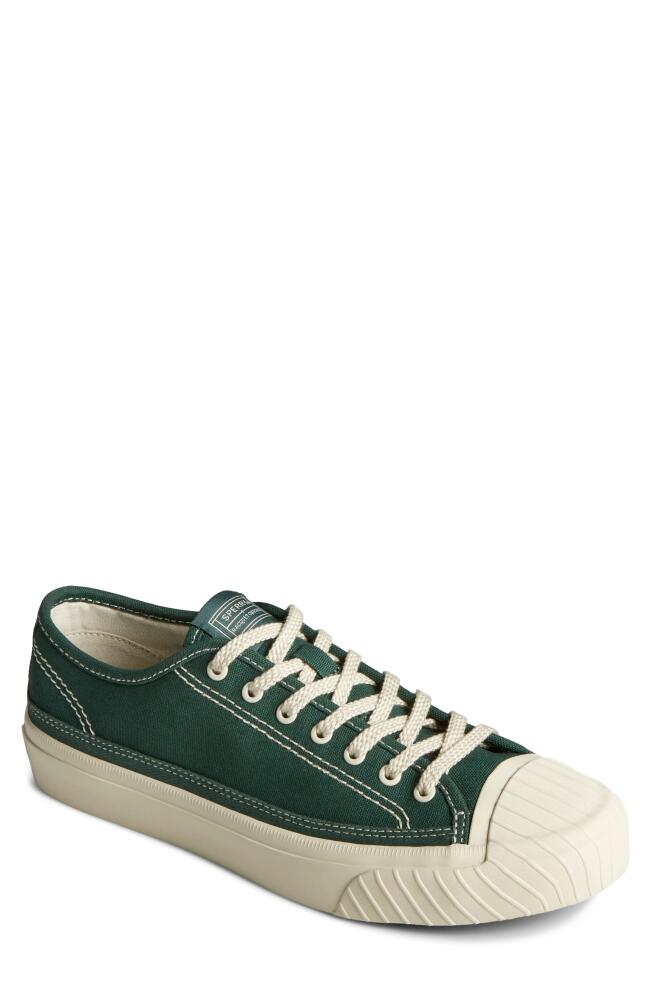 Sperry Racquet Sneaker in Green Cover