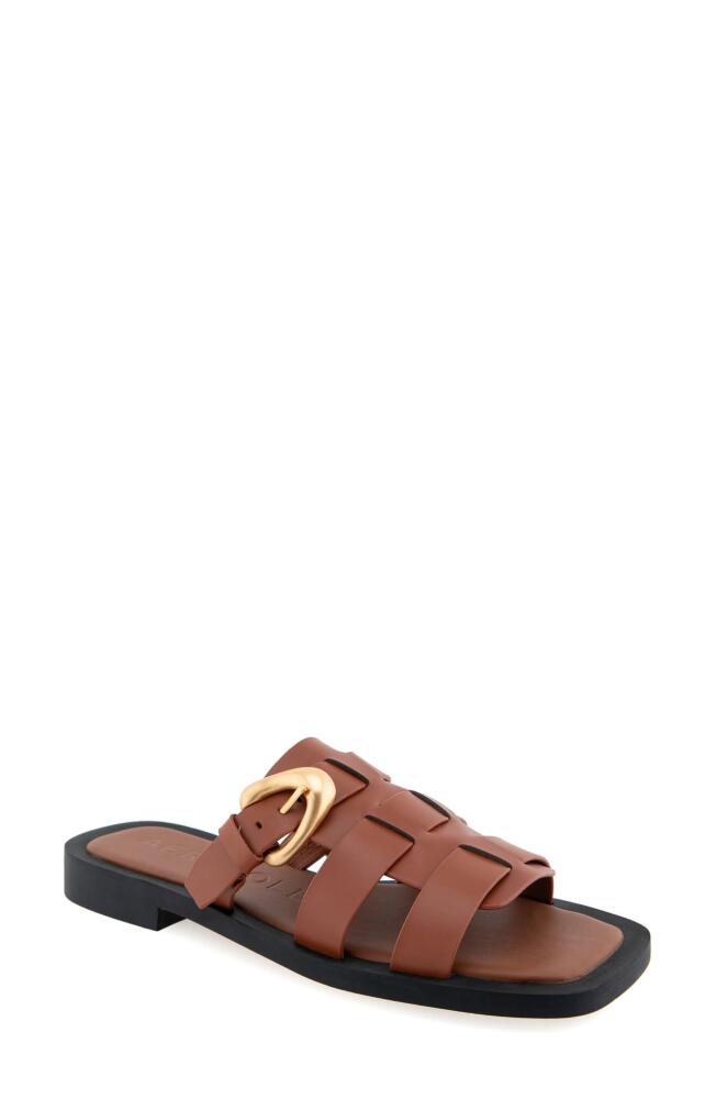 Aerosoles St. Mark's Slide Sandal in Ginger Bread Suede Cover