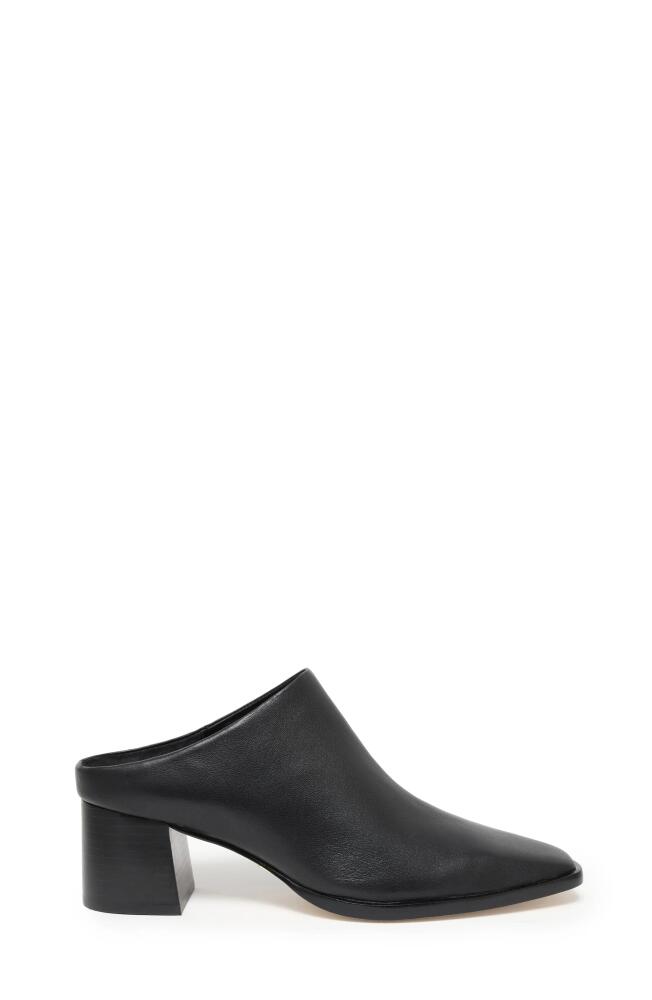 Daniella Shevel Jolene Mule in Black Cover