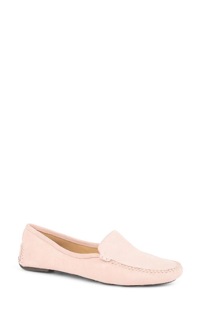 patricia green 'Jillian' Loafer in Blush Suede Cover