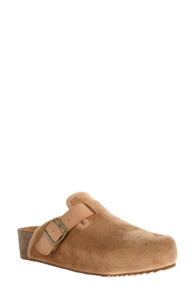 Dirty Laundry Magnolia Clog in Tan Cover