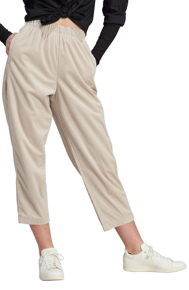 adidas Recycled Polyester Corduroy Crop Pants in Wonder Beige Cover