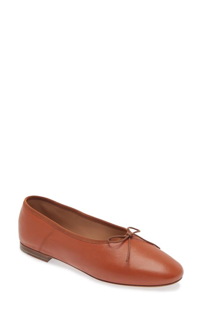 Mansur Gavriel Dream Ballerina Flat in Maple Cover