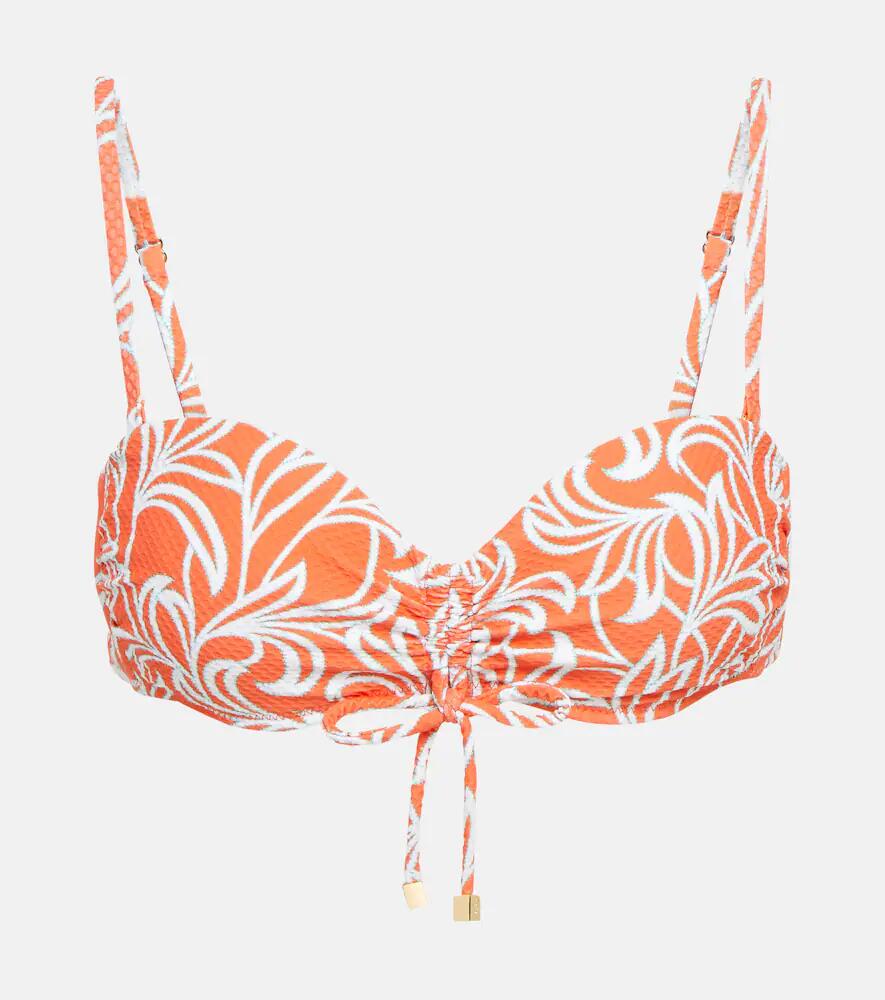 Heidi Klein Coral Gardens bandeau bikini top Cover