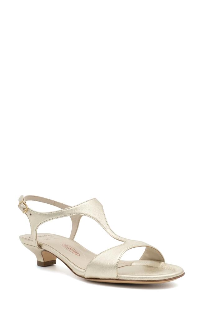 Amalfi by Rangoni Damasco Kitten Heel T-Strap Sandal in Polaris - Platinum Buckle Cover