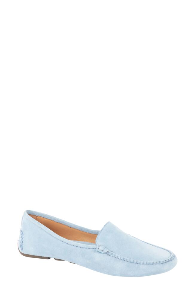 patricia green 'Jillian' Loafer in French Blue Cover