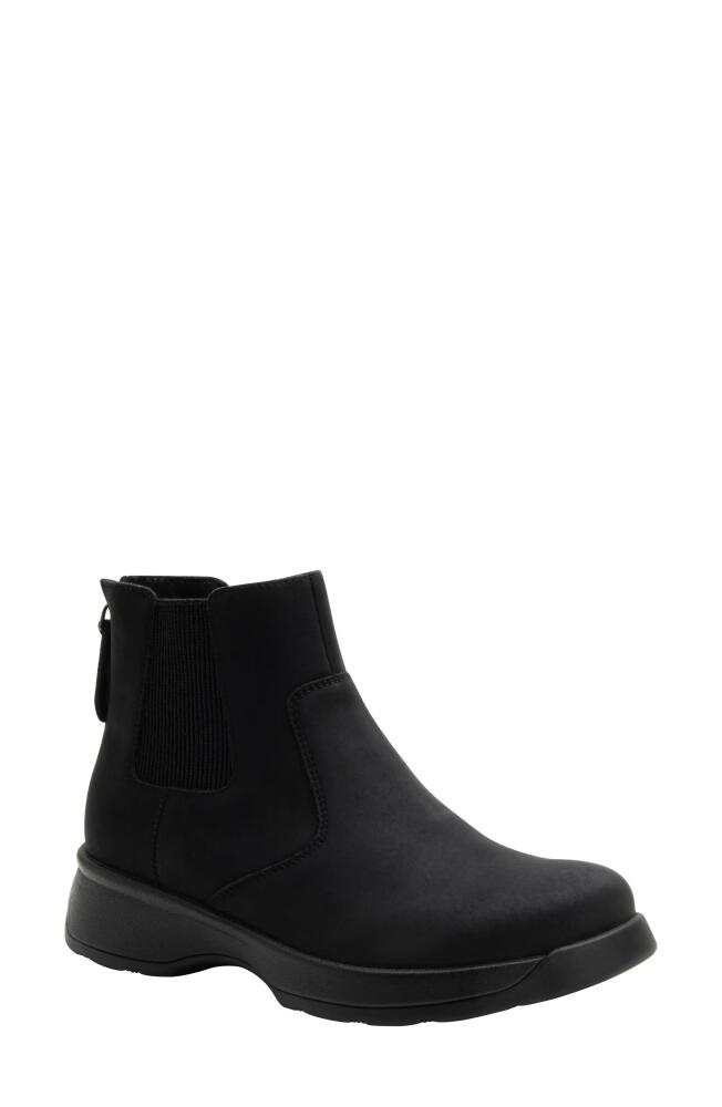 Alegria by PG Lite Chelsea Boot in Asphalt Cover