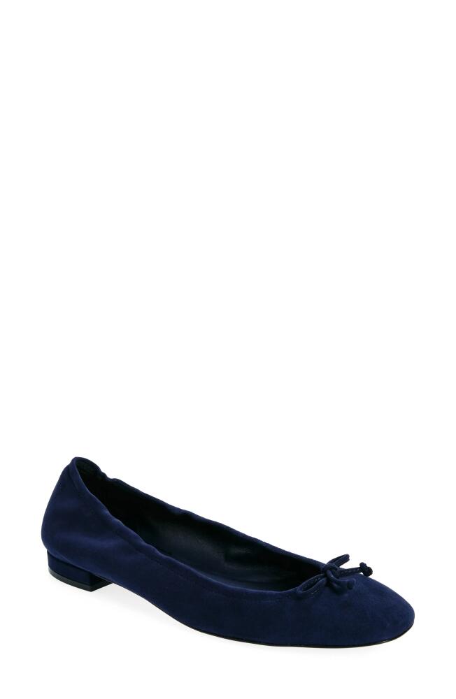 Stuart Weitzman Bria Ballet Flat in Nice Blue Cover