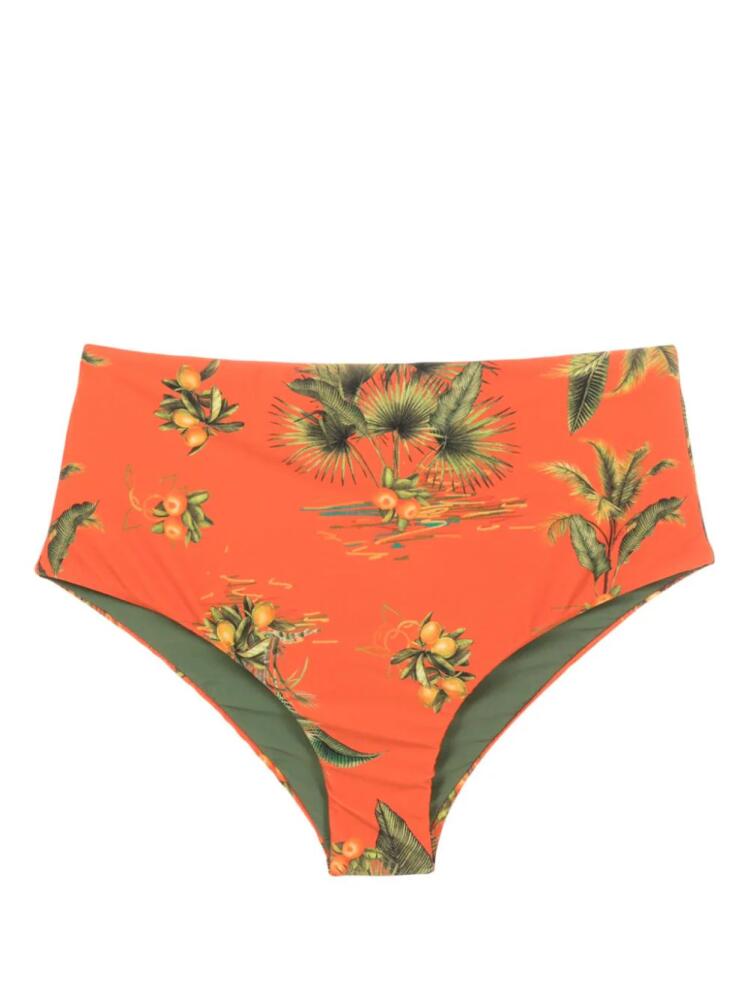 Lygia & Nanny Violeta botanical-print bikini bottoms - Orange Cover