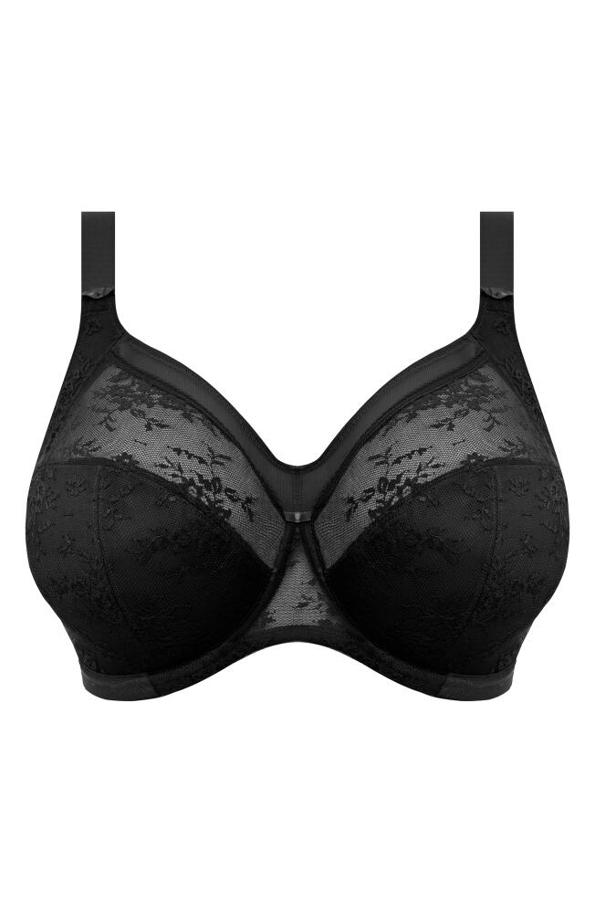 Goddess Verity Underwire Full Figure Bra in Black Cover