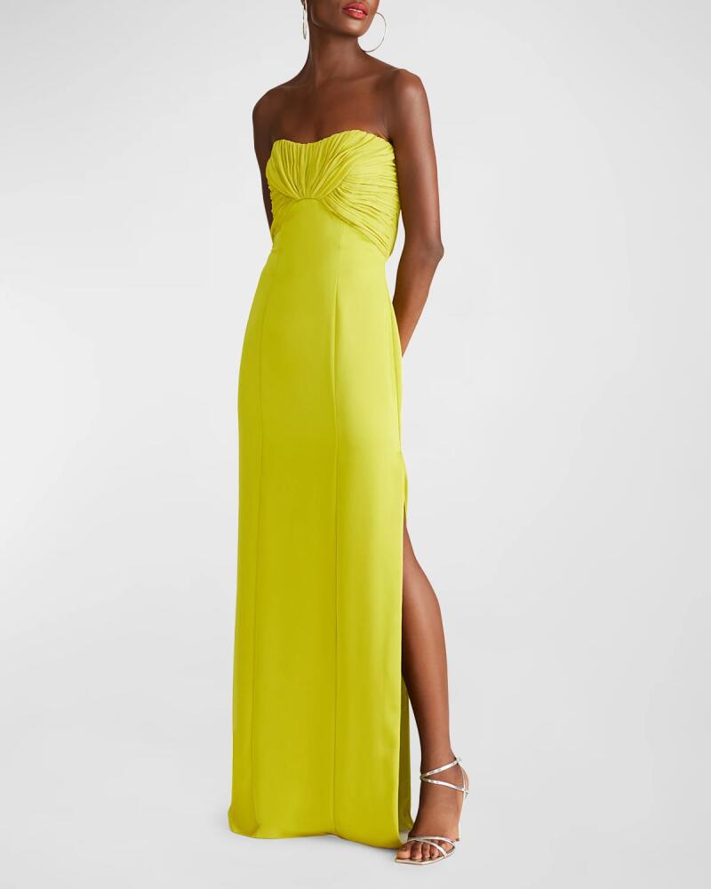 Halston Henna Strapless Chiffon & Satin Column Gown Cover