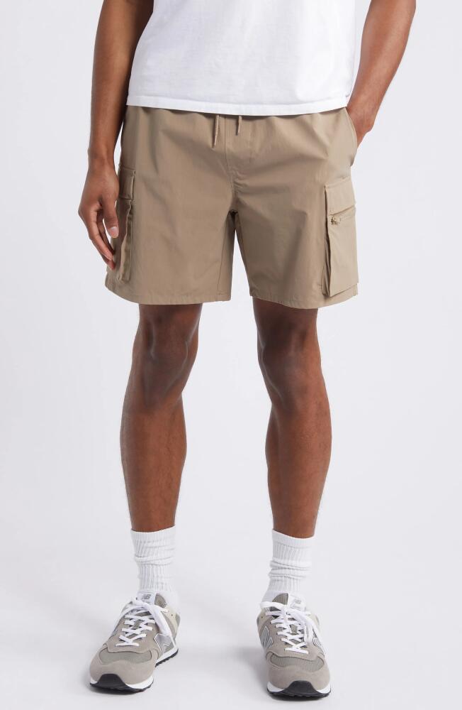 PacSun Ethan Cargo Shorts in Brown Cover