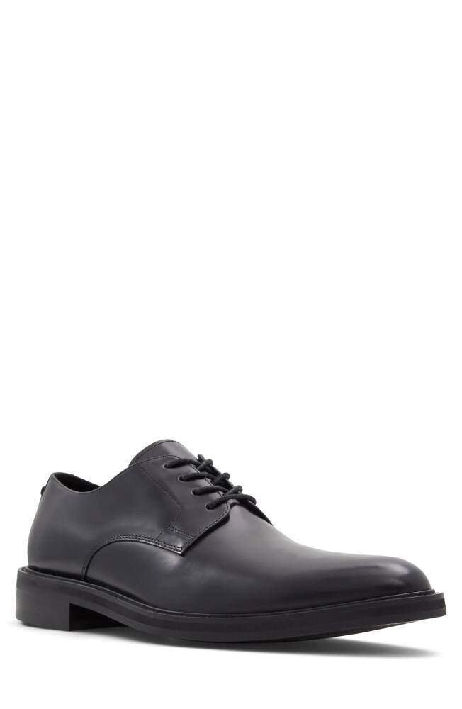 ALDO Libertine Derby in Black Cover