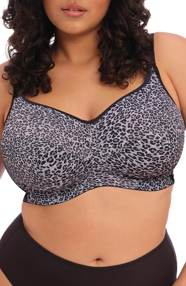 Goddess Celeste Soft Cup T-Shirt Bra in Gray Leopard Cover