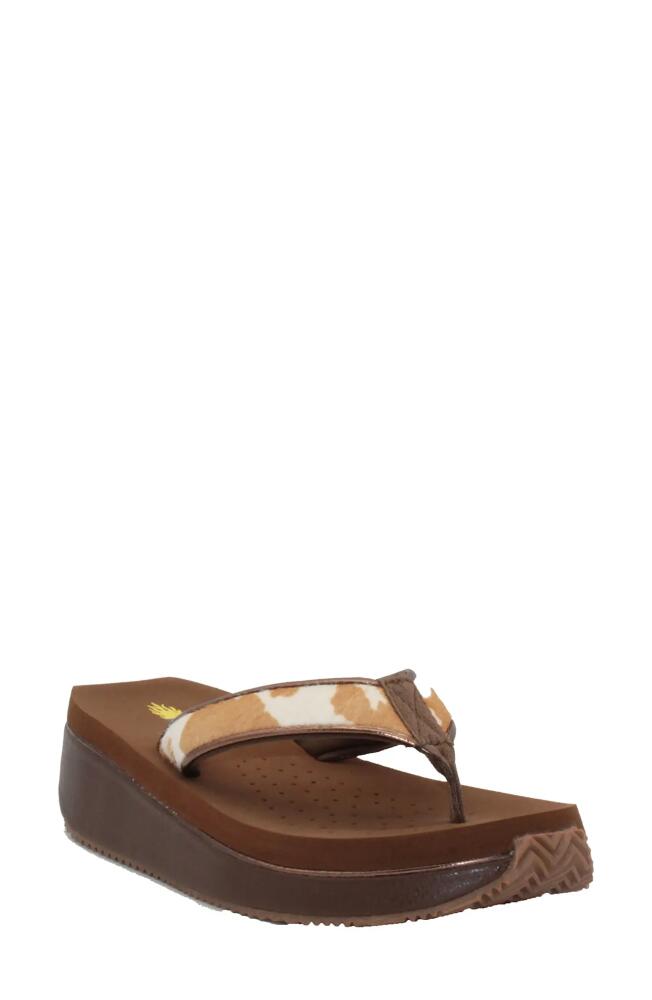 Volatile Neville Genuine Calf Hair Platform Flip Flop in Tan White Calf Hair Cover