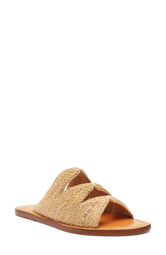 Schutz Ivy Sandal in Natural Cover