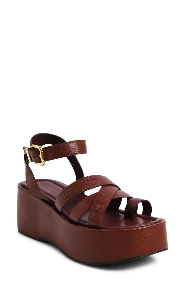 Free People Hazel Platform Sandal in Coconut Shell Cover