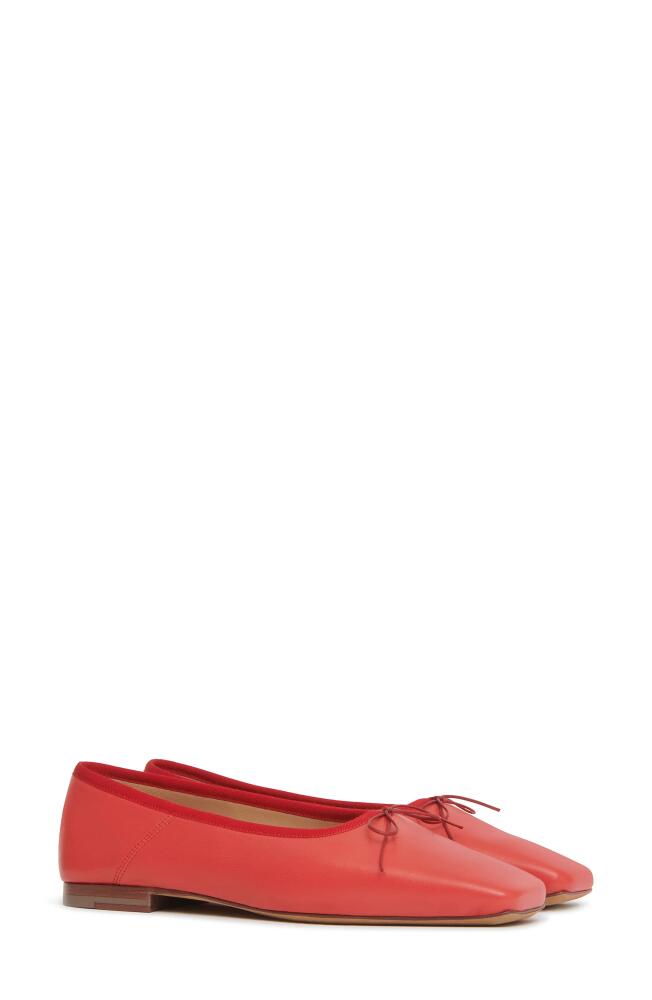 Mansur Gavriel Square Toe Ballerina Flat in Poppy Cover