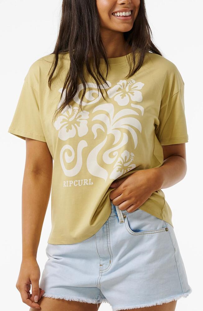 Rip Curl Tropical Organic Cotton Graphic T-Shirt in Light Olive Cover