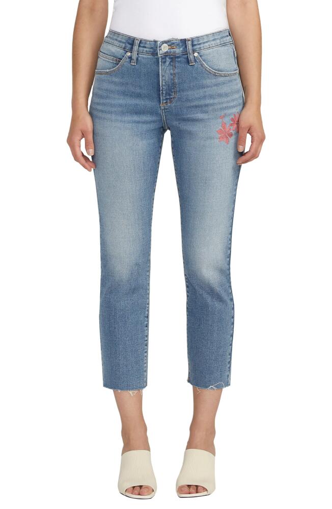 JAG Ruby Raw Hem Mid Rise Crop Straight Leg Jeans in Olympus Blue Cover