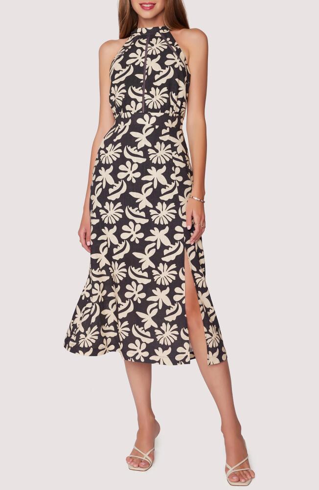 Lost + Wander Tropic Flair Midi Dress in Black Cream Cover