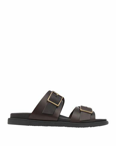 8 By Yoox Man Sandals Dark brown Calfskin Cover