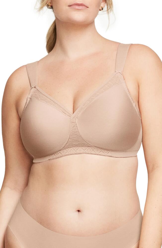 Glamorise MagicLift Seamless Support T-Shirt Bra in Cafe Cover