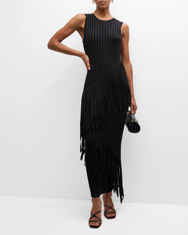 SIMONMILLER Spiral Ribbed Crew Sleeveless Fringe Maxi Dress Cover