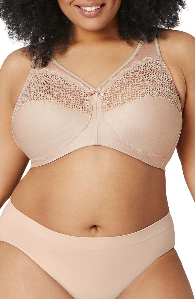 Glamorise MagicLift Moisture Control Bra in Brown Cover