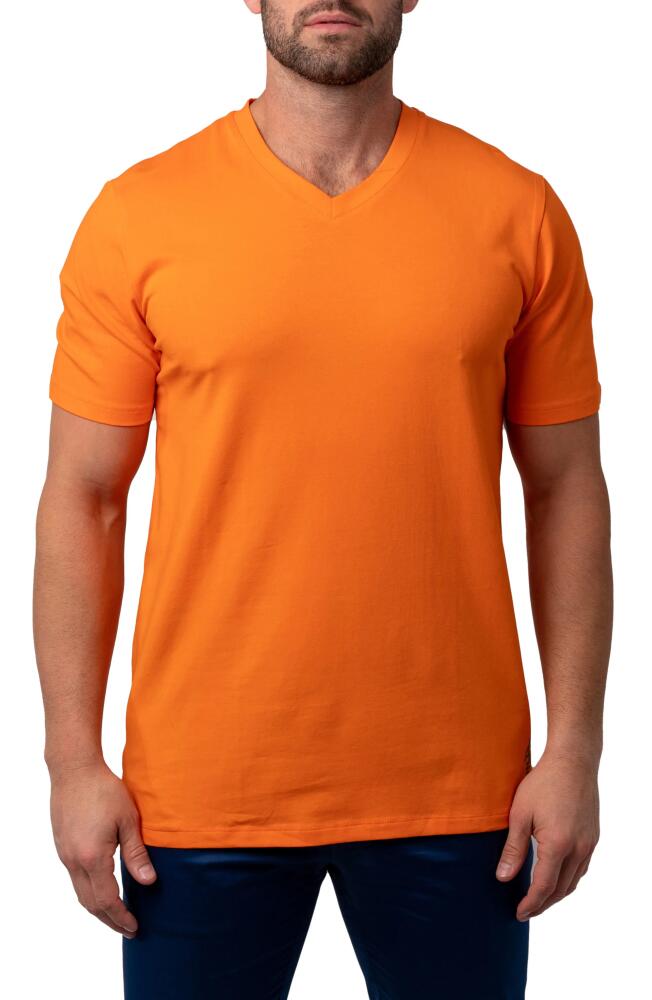 Maceoo Vivaldi V-Neck Cotton T-Shirt in Orange Cover