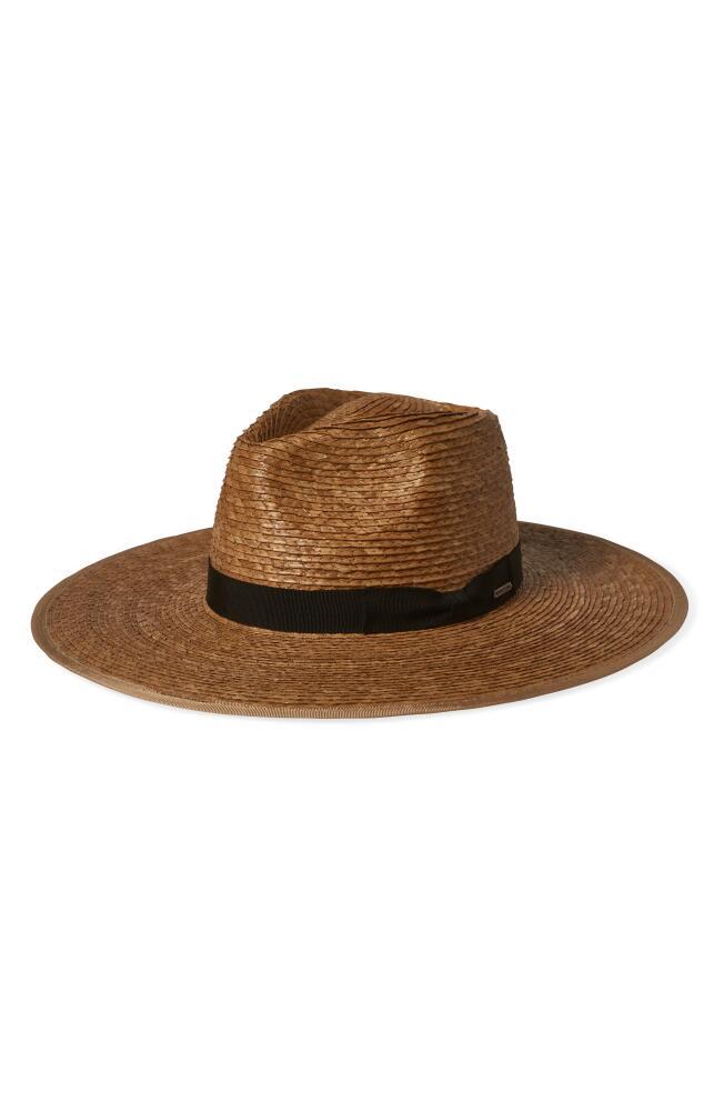 Brixton Jo Straw Rancher Hat in Tan/Black Cover