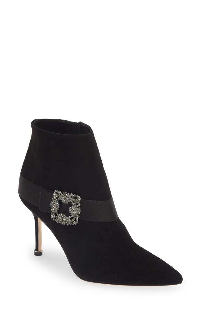 Manolo Blahnik Plinianu Crystal Buckle Pointed Toe Bootie in Black Cover