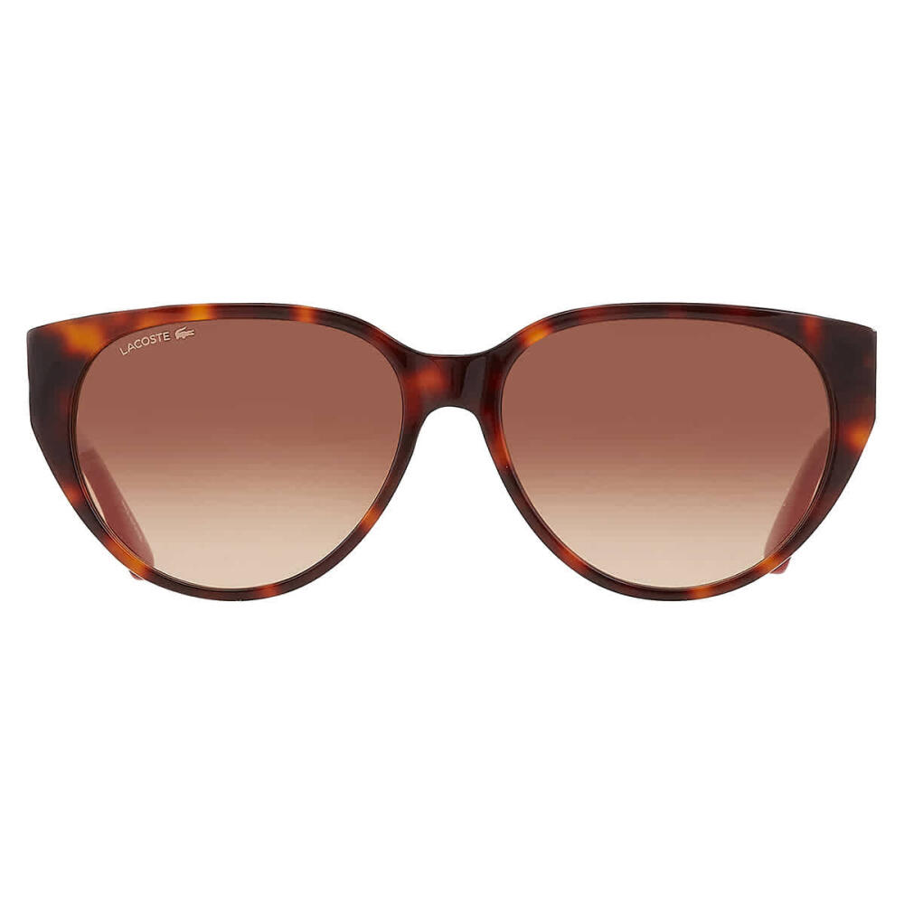 Lacoste Brown Gradient Cat Eye Ladies Sunglasses Cover