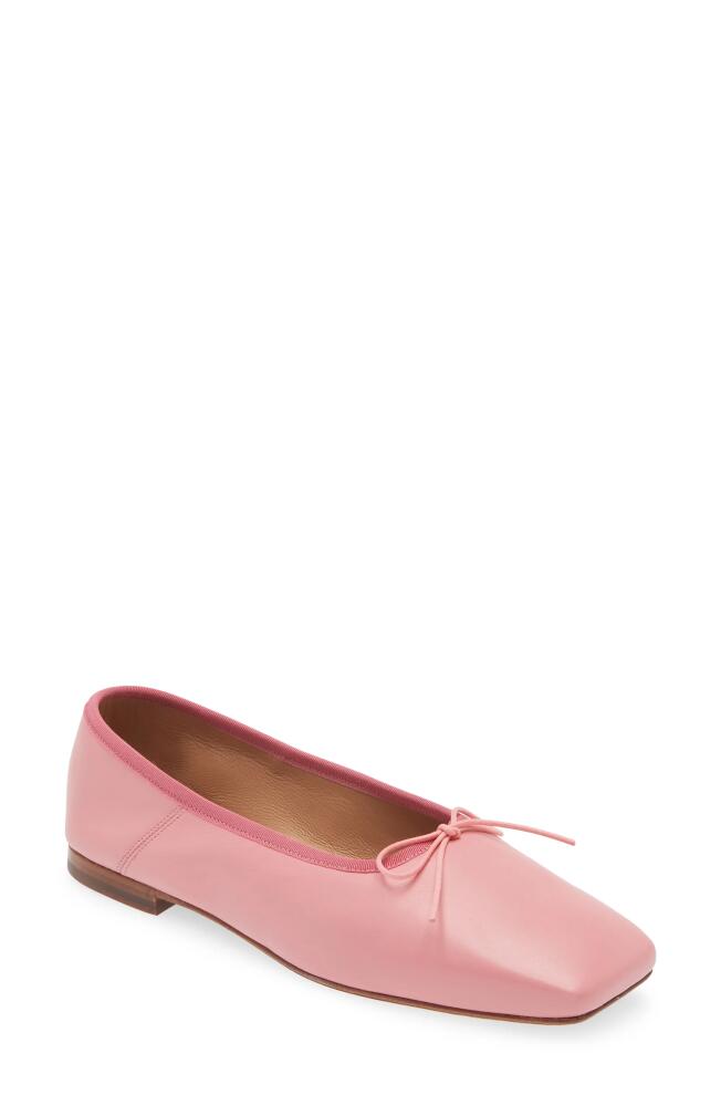 Mansur Gavriel Square Toe Ballerina Flat in Flamingo Pink Cover