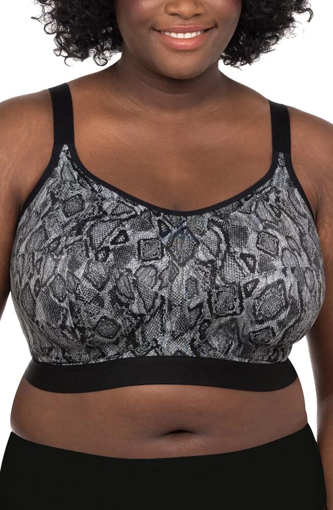 Goddess Soft Cup Sports Bra in Grey/Black Snake Cover