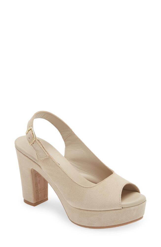 Cordani Tyler Peep Toe Slingback Pump in Visone Suede Cover