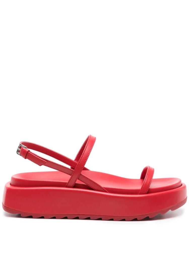 Plan C chunky-sole leather sandals - Red Cover