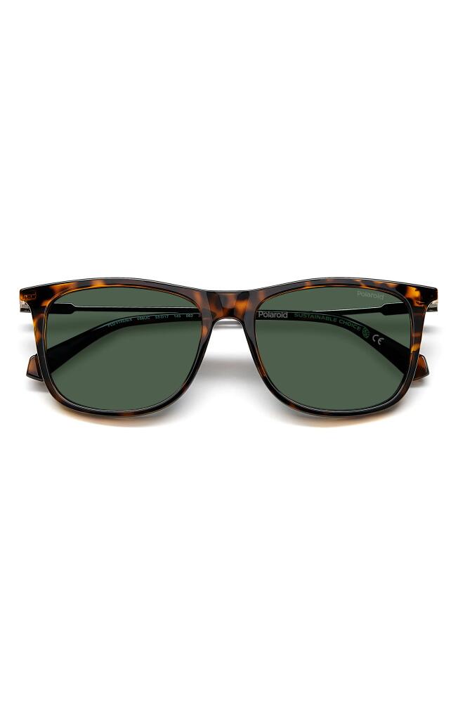 Polaroid 55mm Polarized Rectangular Sunglasses in Havana/Green Polarized Cover