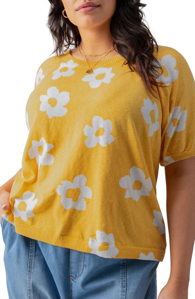 Sanctuary Sunny Days Print Sweater in Golden Sand Cover